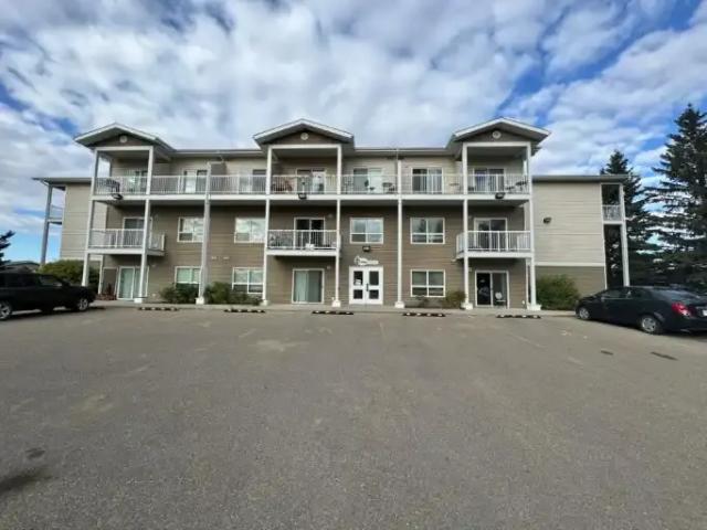 For Rent 1 Bedroom Apartment Sundre AB DS101041288