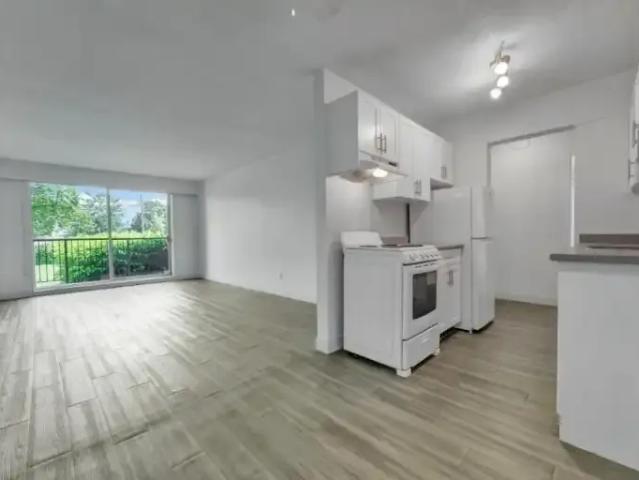 For Rent 1 Bedroom Apartment Surrey BC DLS98630679