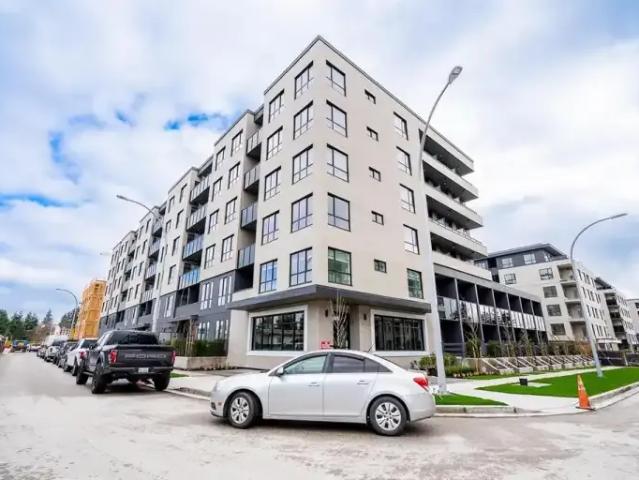 For Rent 1 Bedroom Apartment Surrey BC DLS100669376