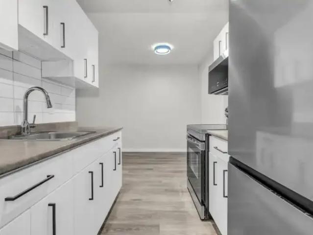 For Rent 1 Bedroom Apartment Surrey BC DS103118155