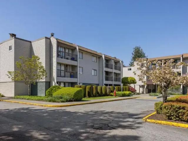 For Rent 1 Bedroom Apartment Surrey BC DS103573958