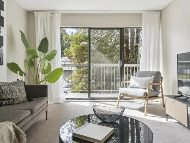 For Rent 1 Bedroom Apartment Surrey BC DS104361782