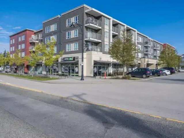 For Rent 1 Bedroom Apartment Surrey BC DS104841119