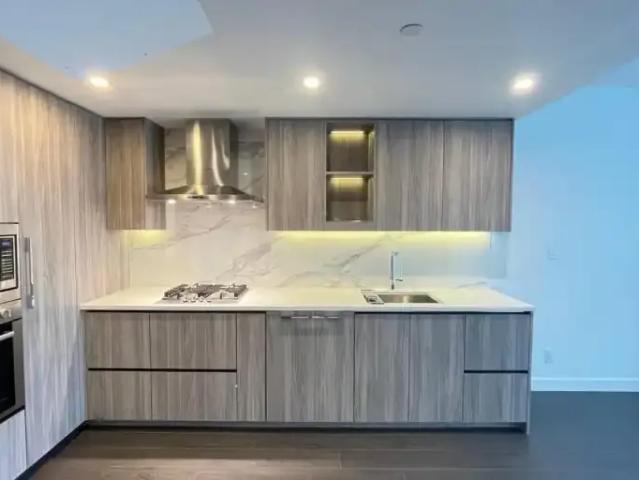For Rent 1 Bedroom Apartment Surrey BC DS105186040