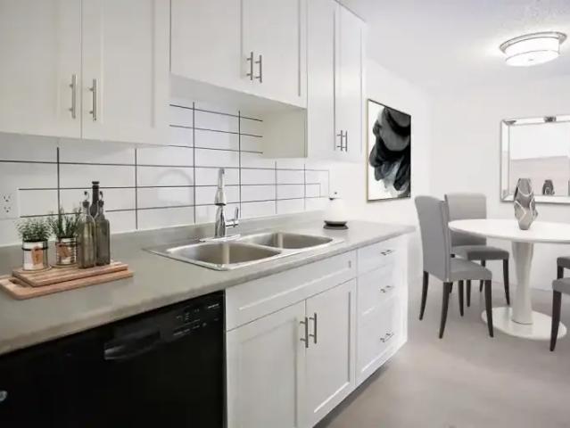 For Rent 1 Bedroom Apartment Saskatoon SK DS102882734