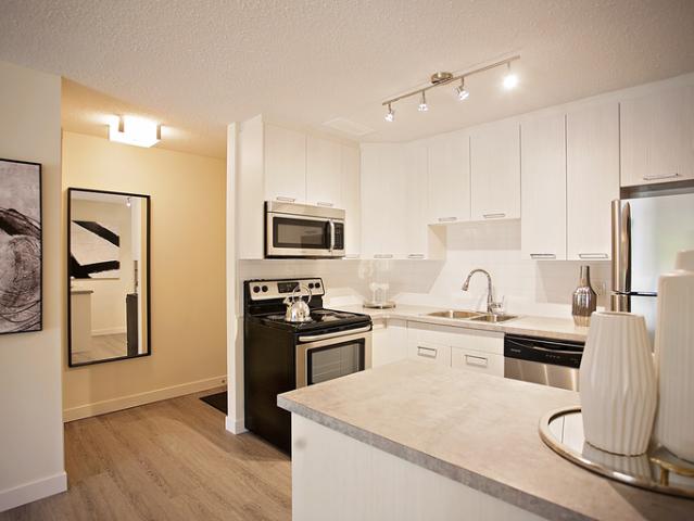 For Rent 1 Bedroom Apartment Saskatoon SK DS96246407