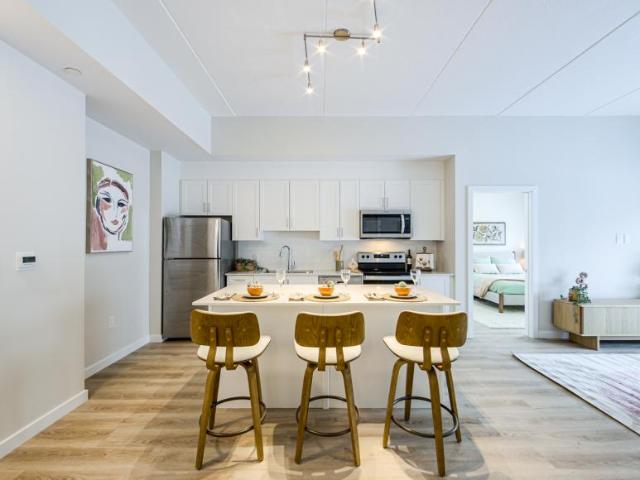 For Rent 1 Bedroom Apartment Simcoe ON DS100452935