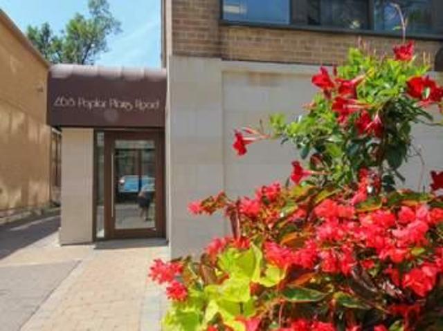 For Rent 1 Bedroom Apartment Toronto ON DLS87900719