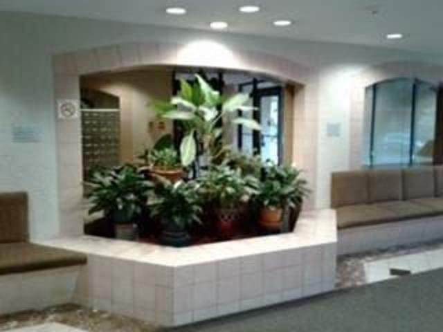 For Rent 1 Bedroom Apartment Toronto ON DLS89693020