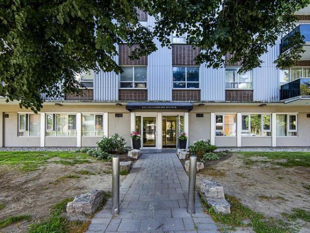 For Rent 1 Bedroom Apartment Toronto ON DS96585791