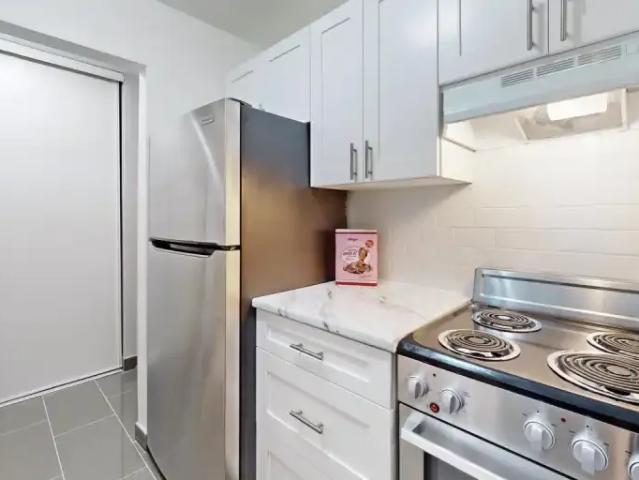 For Rent 1 Bedroom Apartment Trenton ON DS98259628
