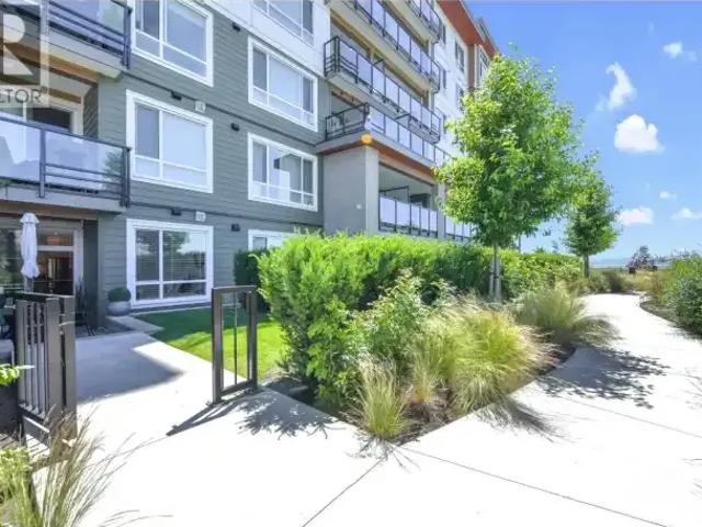 For Rent 1 Bedroom Apartment Tsawwassen BC DS103338604