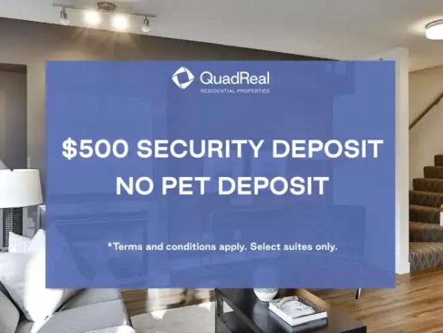 For Rent 1 Bedroom Apartment Vancouver BC DLS98340585