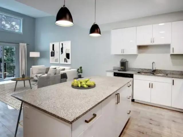 For Rent 1 Bedroom Apartment Victoria BC DS102203579