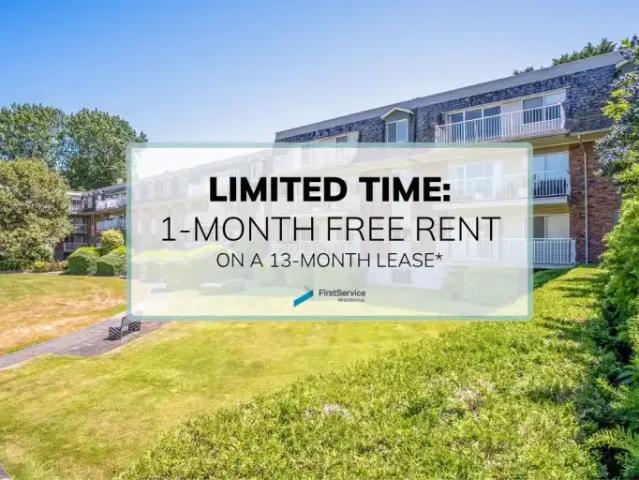 For Rent 1 Bedroom Apartment Victoria BC DS103424398
