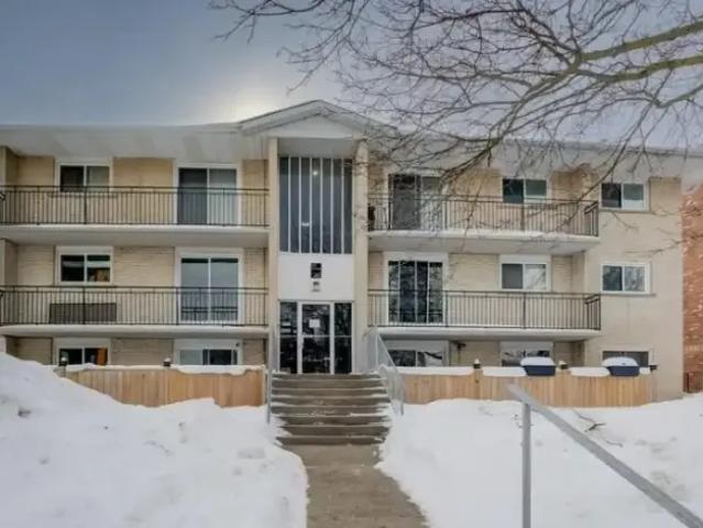 For Rent 1 Bedroom Apartment Waterloo ON DLS101878217