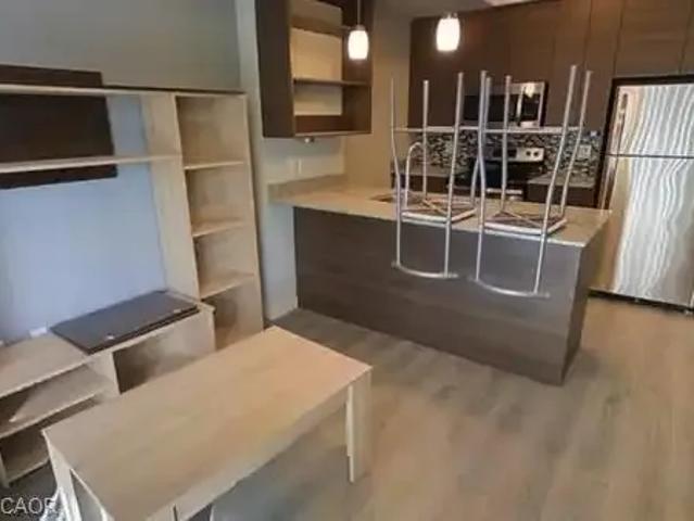 For Rent 1 Bedroom Apartment Waterloo ON DS104106876