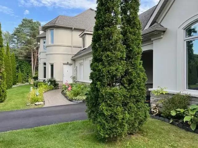 For Rent 1 Bedroom Apartment Whitchurch ON DS104972467
