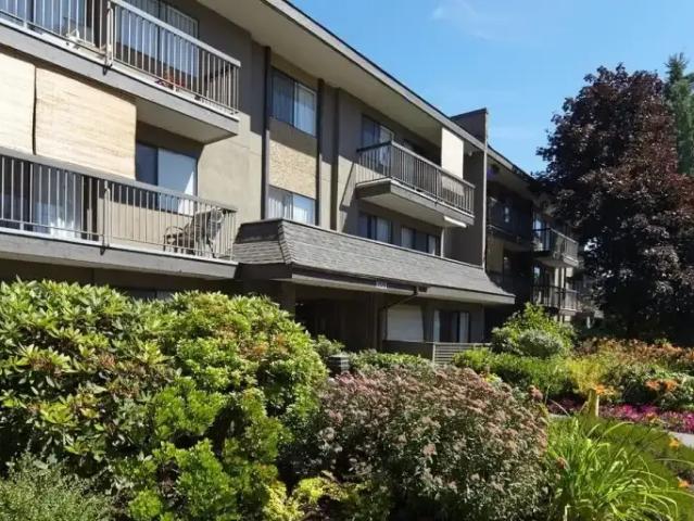 For Rent 1 Bedroom Apartment White Rock BC DS104362458