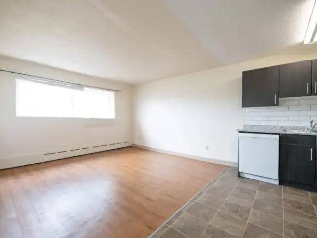 For Rent 1 Bedroom Apartment Winnipeg MB DLS101947511