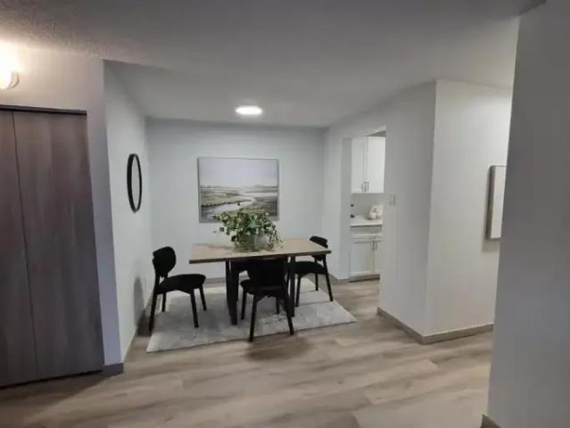 For Rent 1 Bedroom Apartment Winnipeg MB DLS102018016