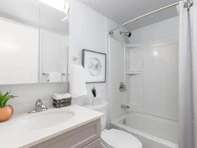 For Rent 1 Bedroom Apartment Winnipeg MB DLS102518351