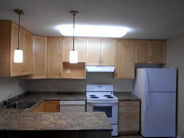 For Rent 1 Bedroom Apartment Winnipeg MB DLS96587091