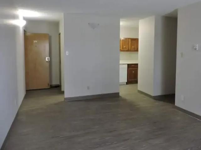 For Rent 1 Bedroom Apartment Winnipeg MB DS104433622