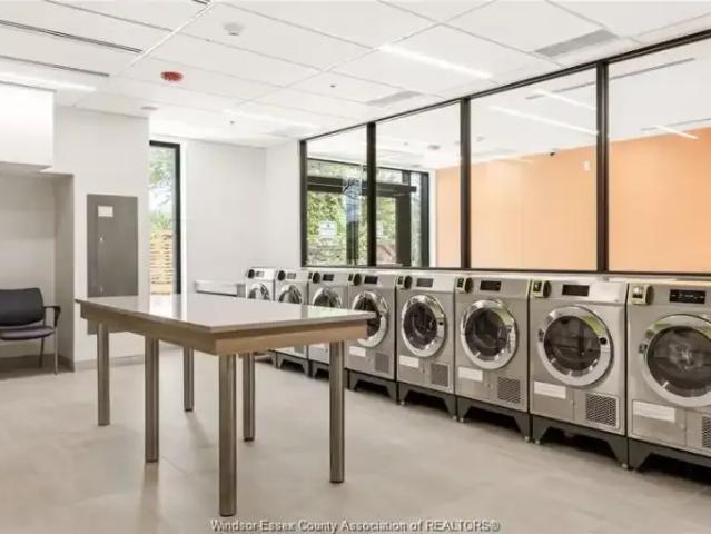 For Rent 1 Bedroom Apartment Windsor ON DLS102339286