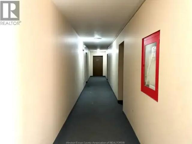 For Rent 1 Bedroom Apartment Windsor ON DS98491257
