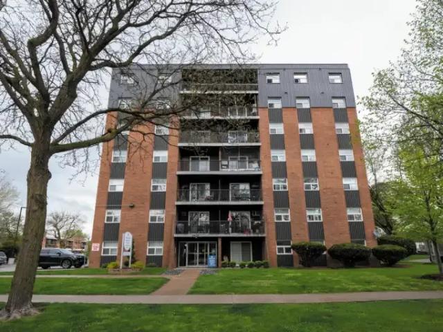 For Rent 1 Bedroom Apartment Windsor ON DS99675812