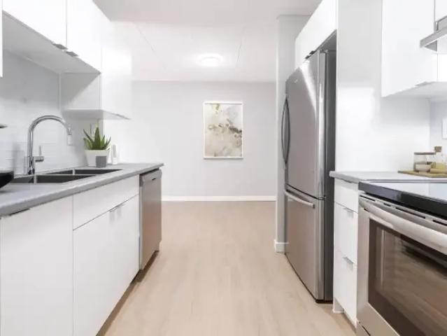 For Rent 1 Bedroom Apartment Windsor ON DS101506859
