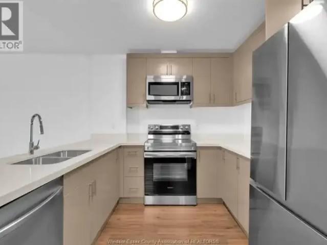 For Rent 1 Bedroom Apartment Windsor ON DS102468575