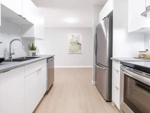 For Rent 1 Bedroom Apartment Windsor ON DS102847165