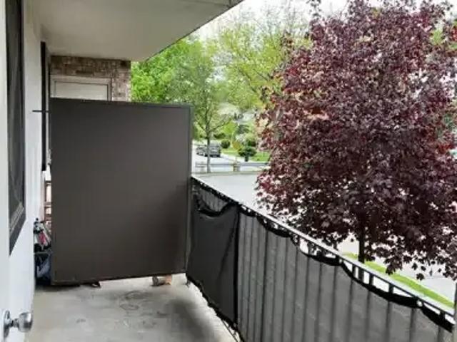 For Rent 1 Bedroom Apartment Windsor ON DS102204353