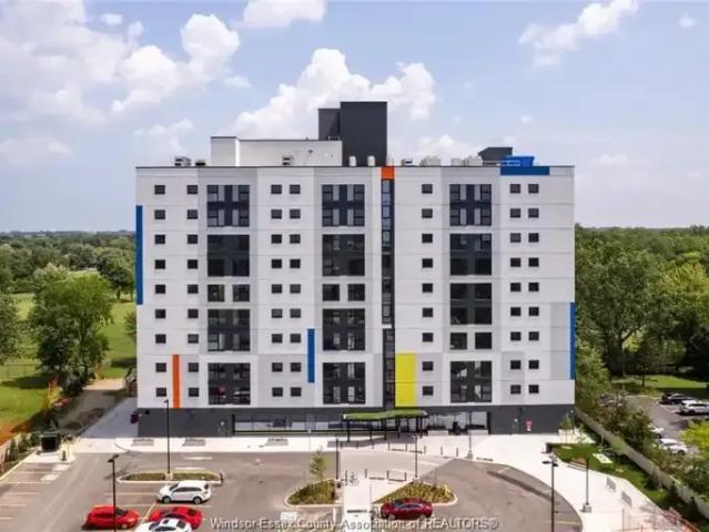 For Rent 1 Bedroom Apartment Windsor ON DS102339290