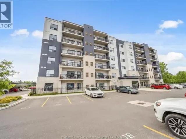 For Rent 1 Bedroom Apartment Windsor ON DS103612025