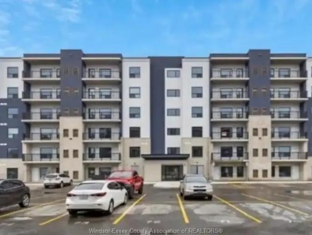 For Rent 1 Bedroom Apartment Windsor ON DS103012103