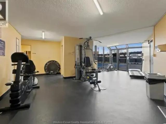 For Rent 1 Bedroom Apartment Windsor ON DS103179314