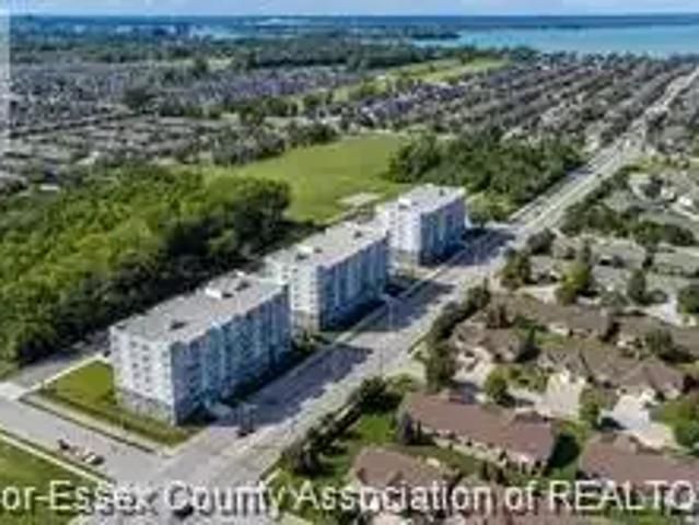 For Rent 1 Bedroom Apartment Windsor ON DS103380109