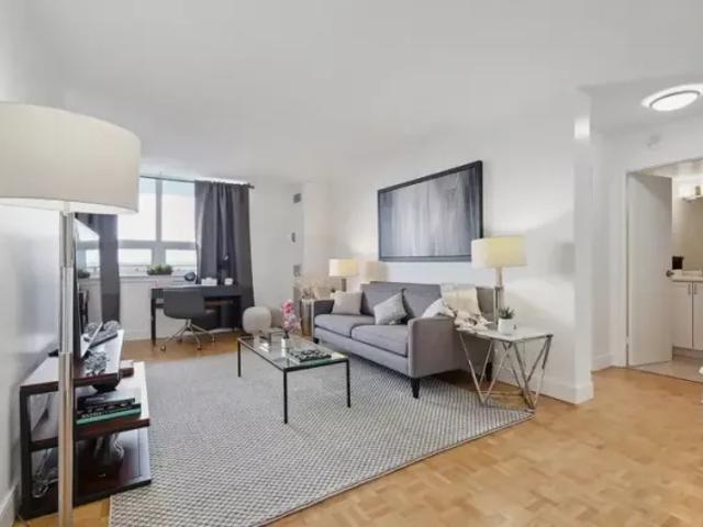 For Rent 1 Bedroom Apartment York ON DS88434443