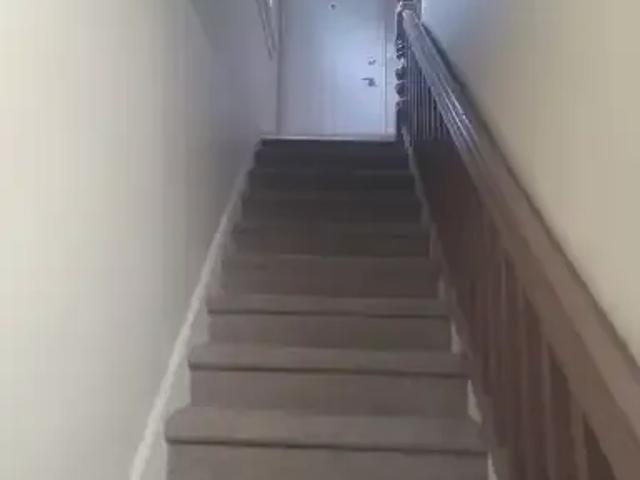 For Rent 1 Bedroom House Calgary AB DLS102203948