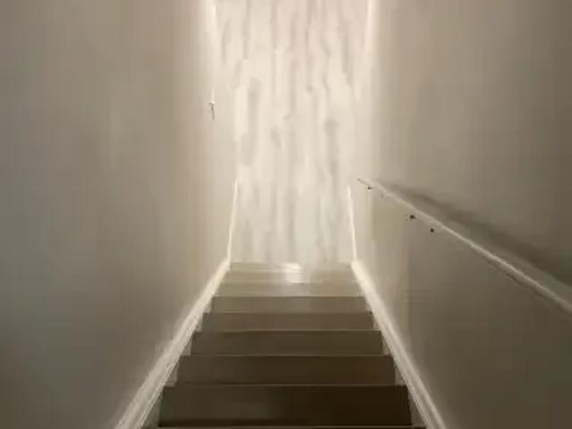 For Rent 1 Bedroom House Ajax ON DS103322677