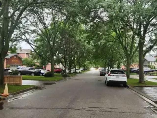 For Rent 1 Bedroom House Ajax ON DS105118972