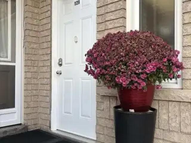 For Rent 1 Bedroom House Vaughan ON DLS101986797