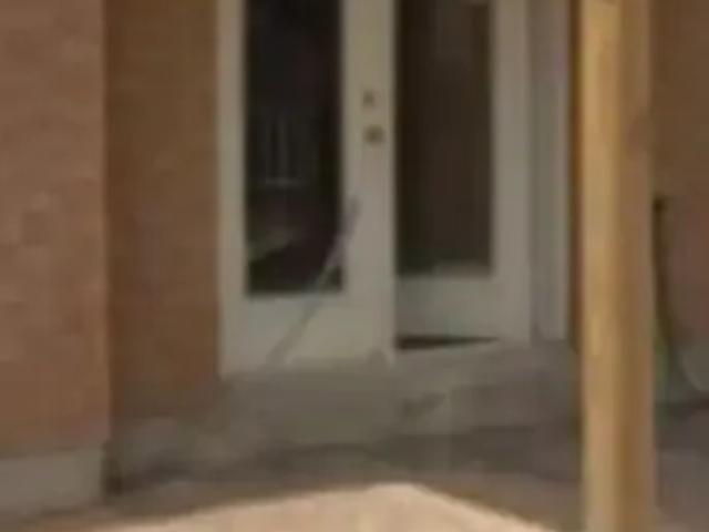 For Rent 1 Bedroom House Vaughan ON DLS103322793