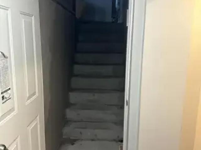 For Rent 1 Bedroom House Vaughan ON DS101877932