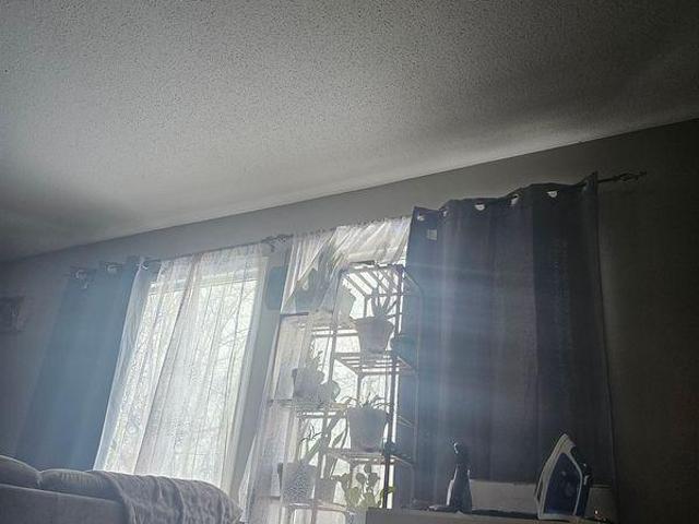 For Rent 1 Bedroom Shared Living/roommate Mulhurst AB DS96648939