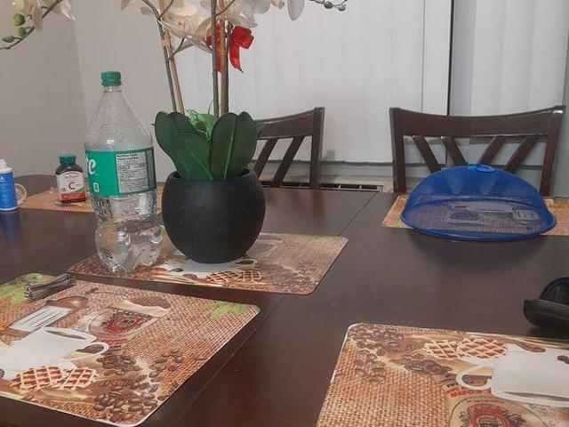 For Rent 1 Bedroom Shared Living/roommate Mississauga ON DLS97421018