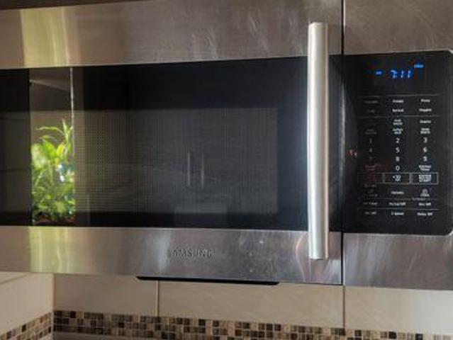 For Rent 1 Bedroom Shared Living/roommate Mississauga ON DLS97421476